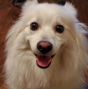 Meet your Posher, Annette